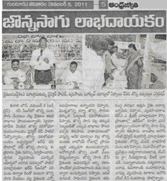 Sorghum cultivation Profitable