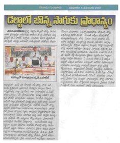 Sorghum cultivation in Delta